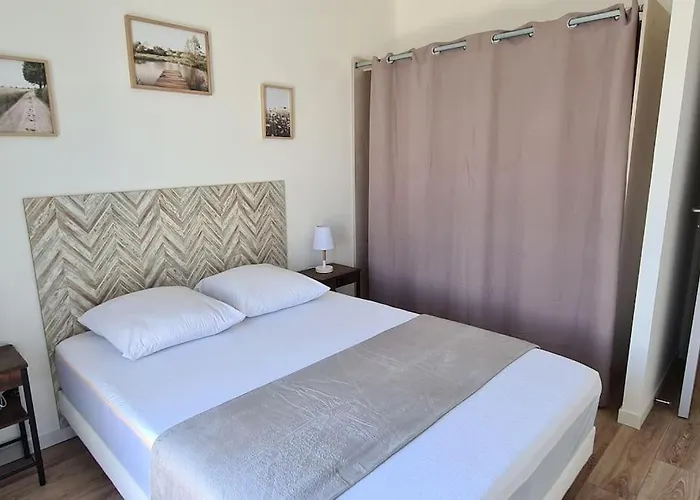 La Couzinette 3km Du Parc Puy Du Fou